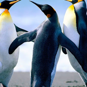 Meet your Posher, John